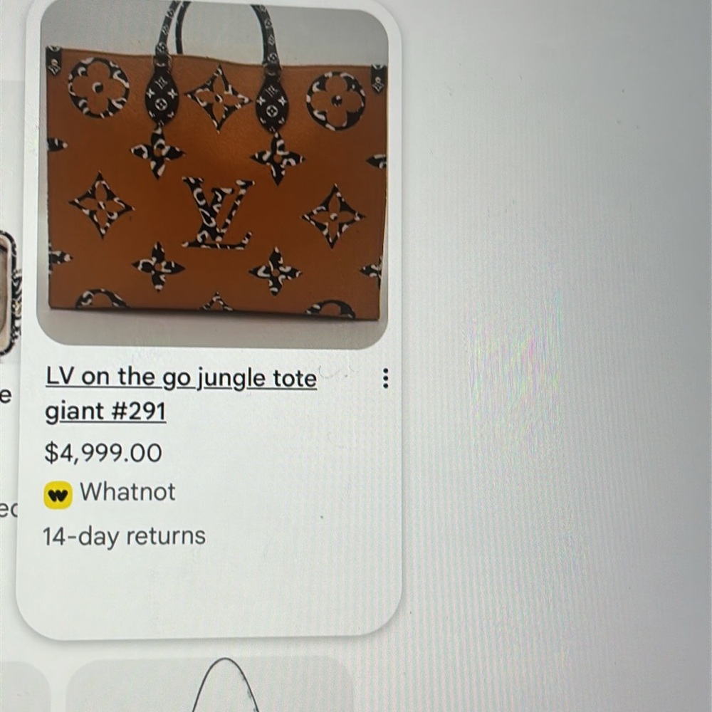 Louis Vuitton Limited Edition. From Nicolas Ghesquière's FW19 Jungle collection - Picture 10 of 10